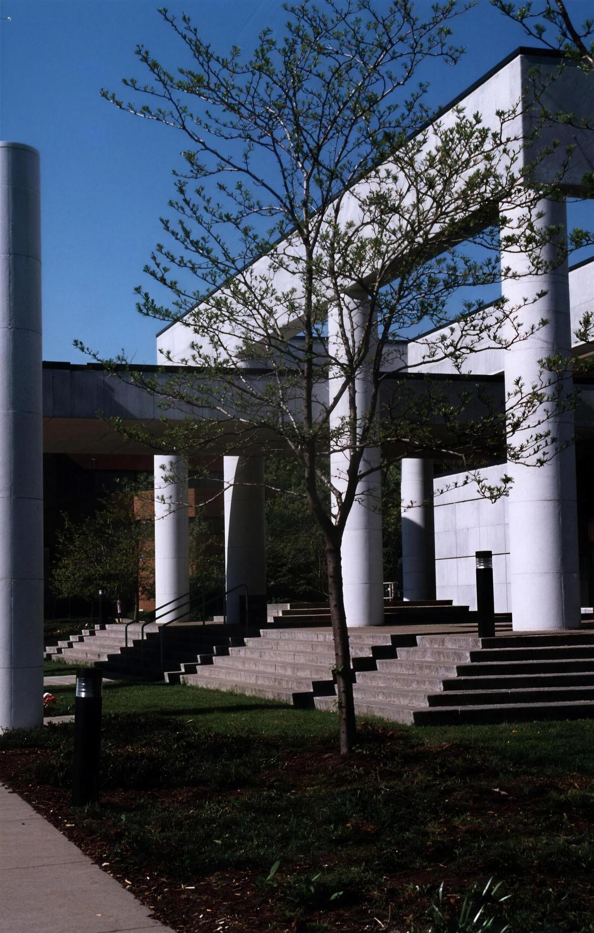 Castellani Art Museum